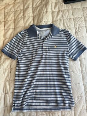Brooks Brothers Navy and White Striped Polo